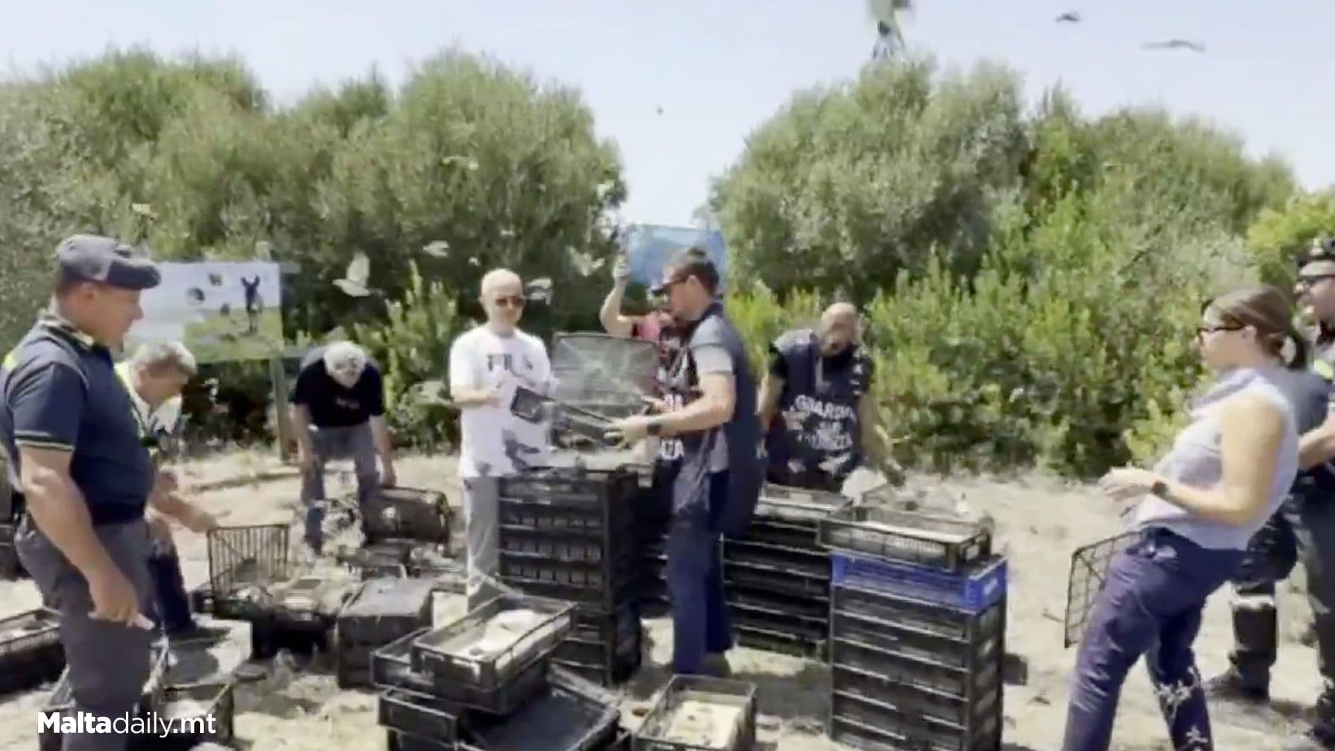 Maltese Man Caught In Sicily Smuggling 2,700+ Protected Birds