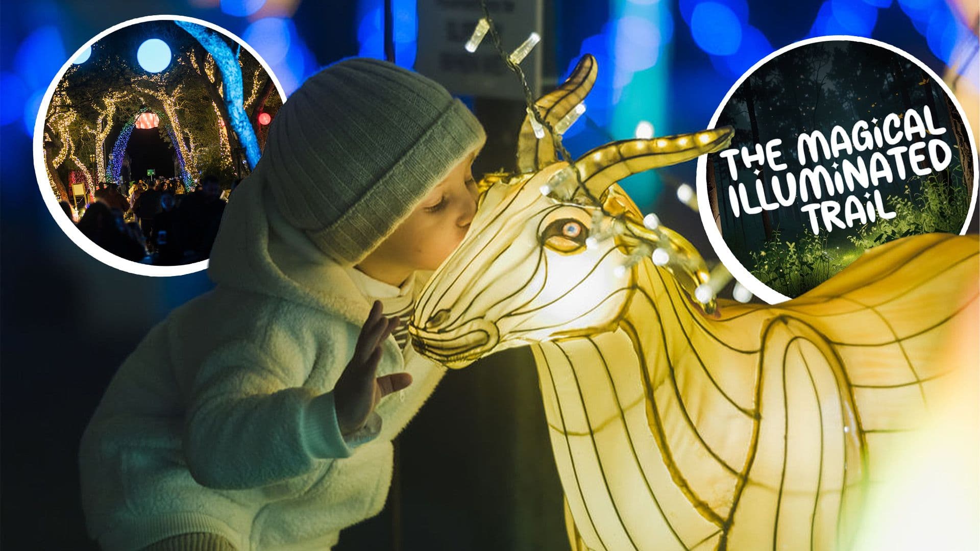 The Magical Illuminated Trail: Malta's Favourite Festive Experience Returns