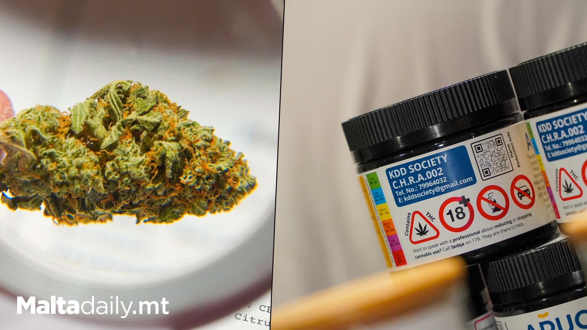 Malta’s First Cannabis Club Begins Operation