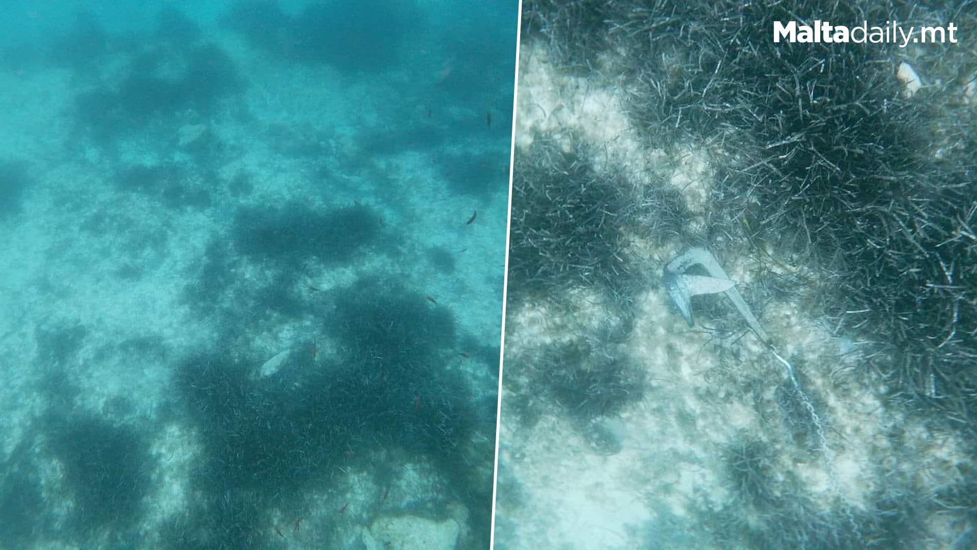 Marine Biologist Shows Damage To Comino Seabed Caused By Unregulated Anchoring