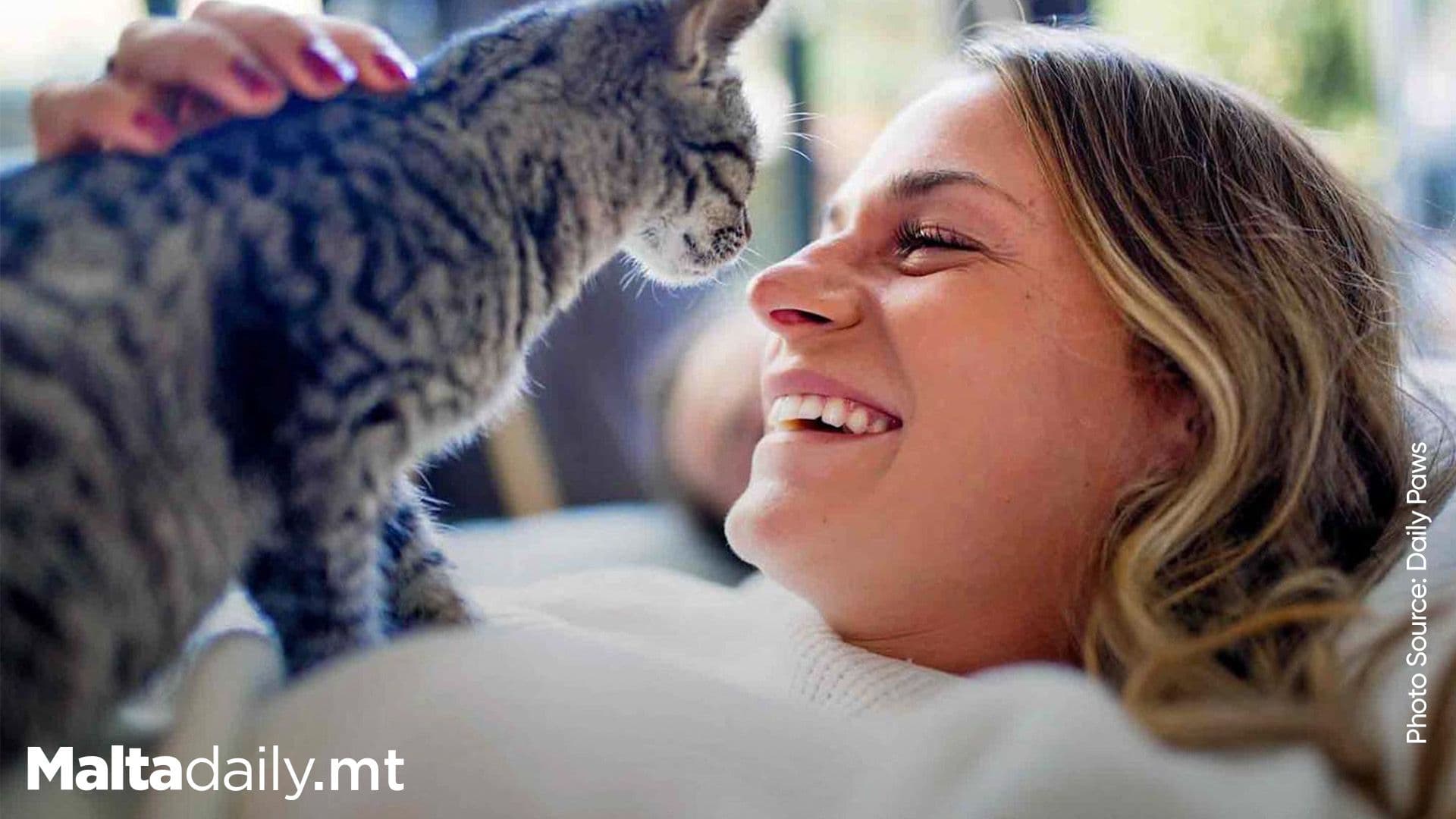 Study Reveals Cats Can Recognize Owners’ Voices But Choose Not to Respond