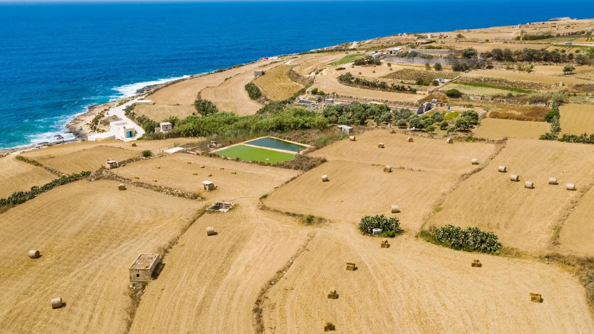 Malta’s Agricultural Output Drops Slightly To €141.8 Million In 2025