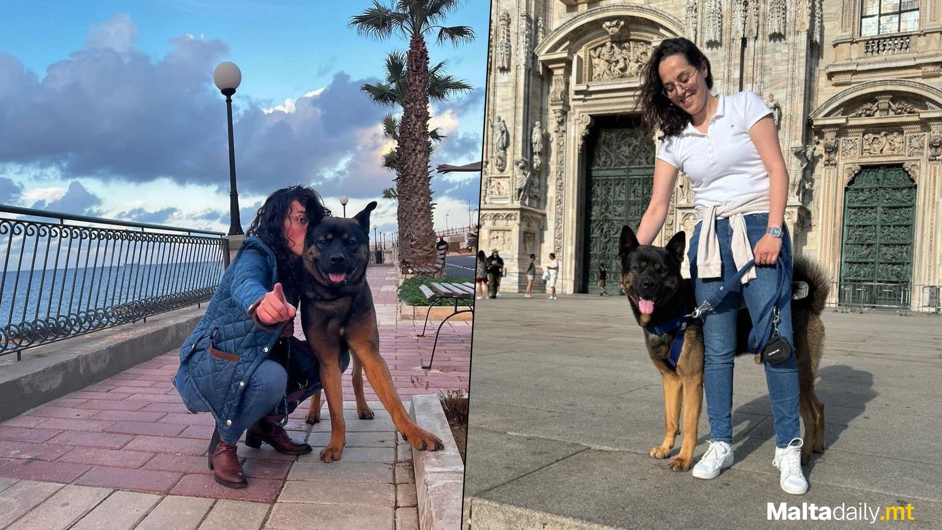 Malta Will Have A New Commissioner For Animal Welfare: Fleur Abela