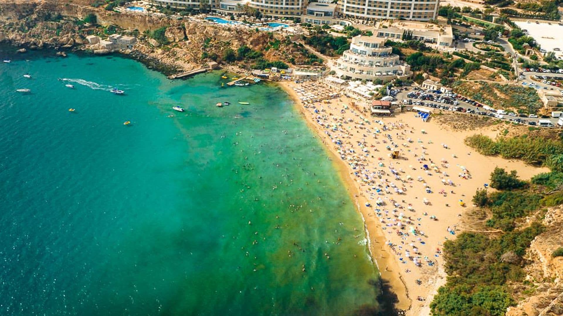 GOLDEN BAY SAND DUNES SHOW REMARKABLE RECOVERY THANKS TO RESTORATION EFFORTS