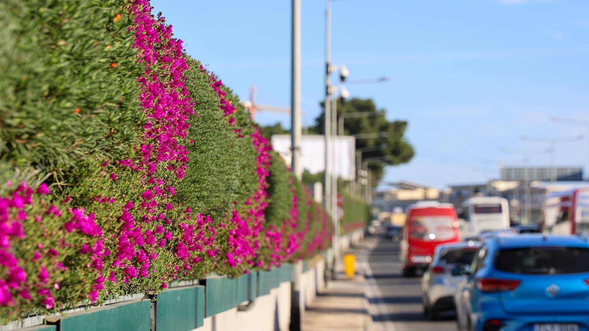 Controversial Marsa Ħamrun Bypass Green Wal Returns To Life