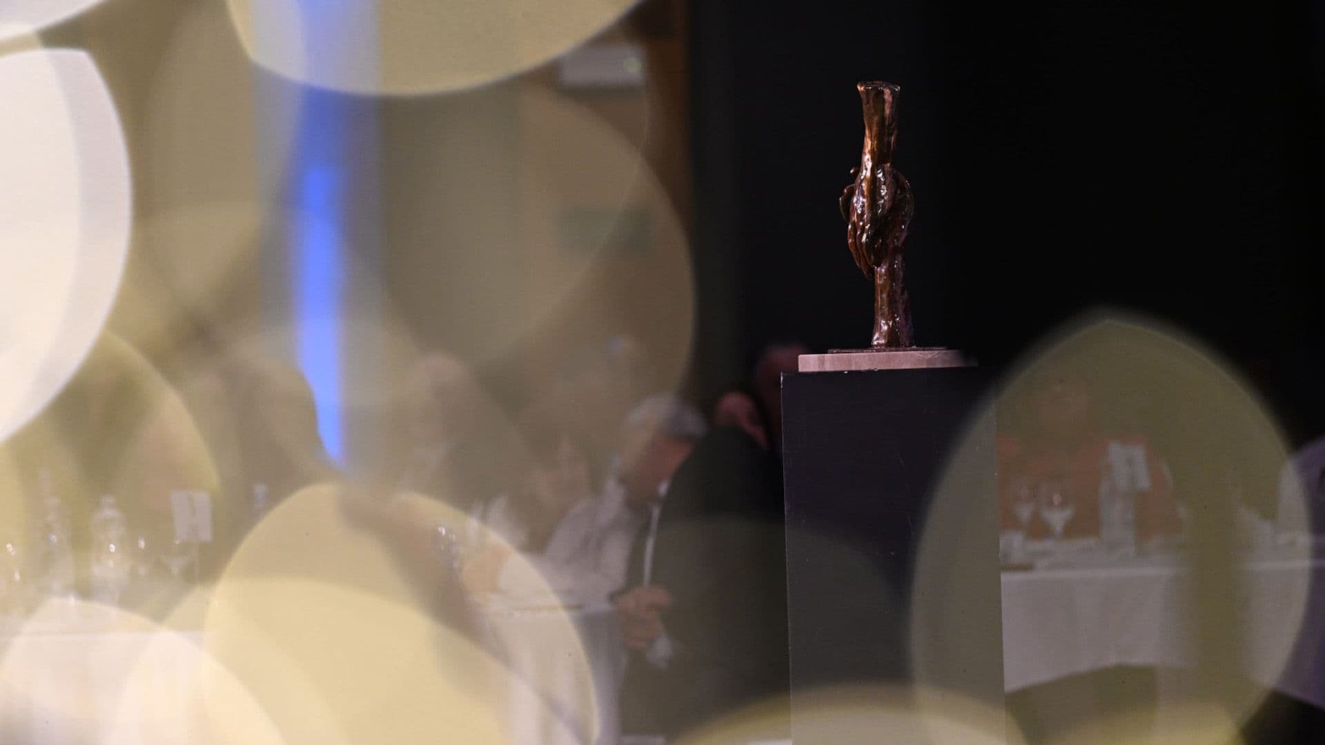 Winners Of The National Volunteer Awards Announced