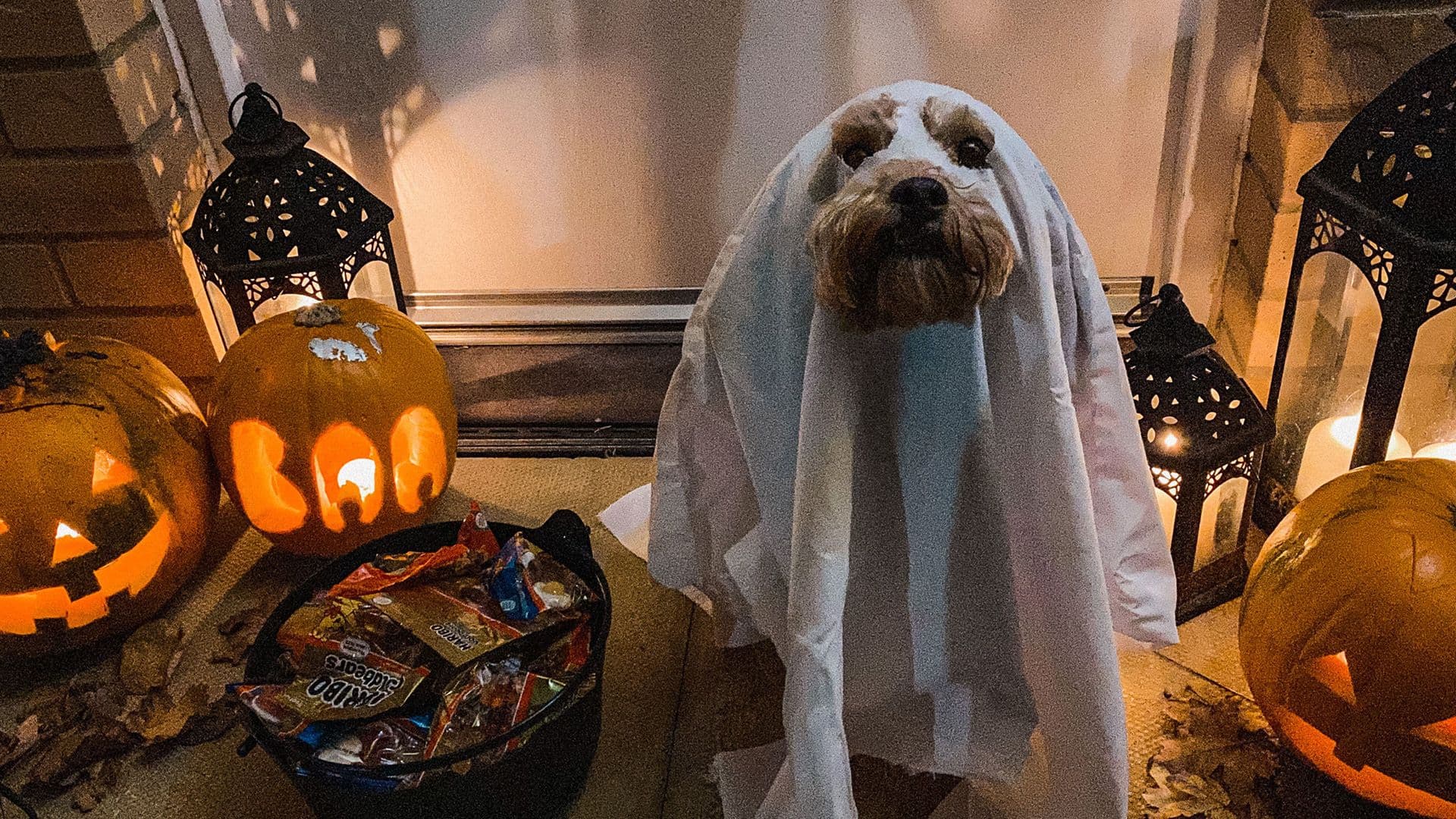 It’s Officially Halloween Week! Here’s How To Get Into The Spooky Spirit