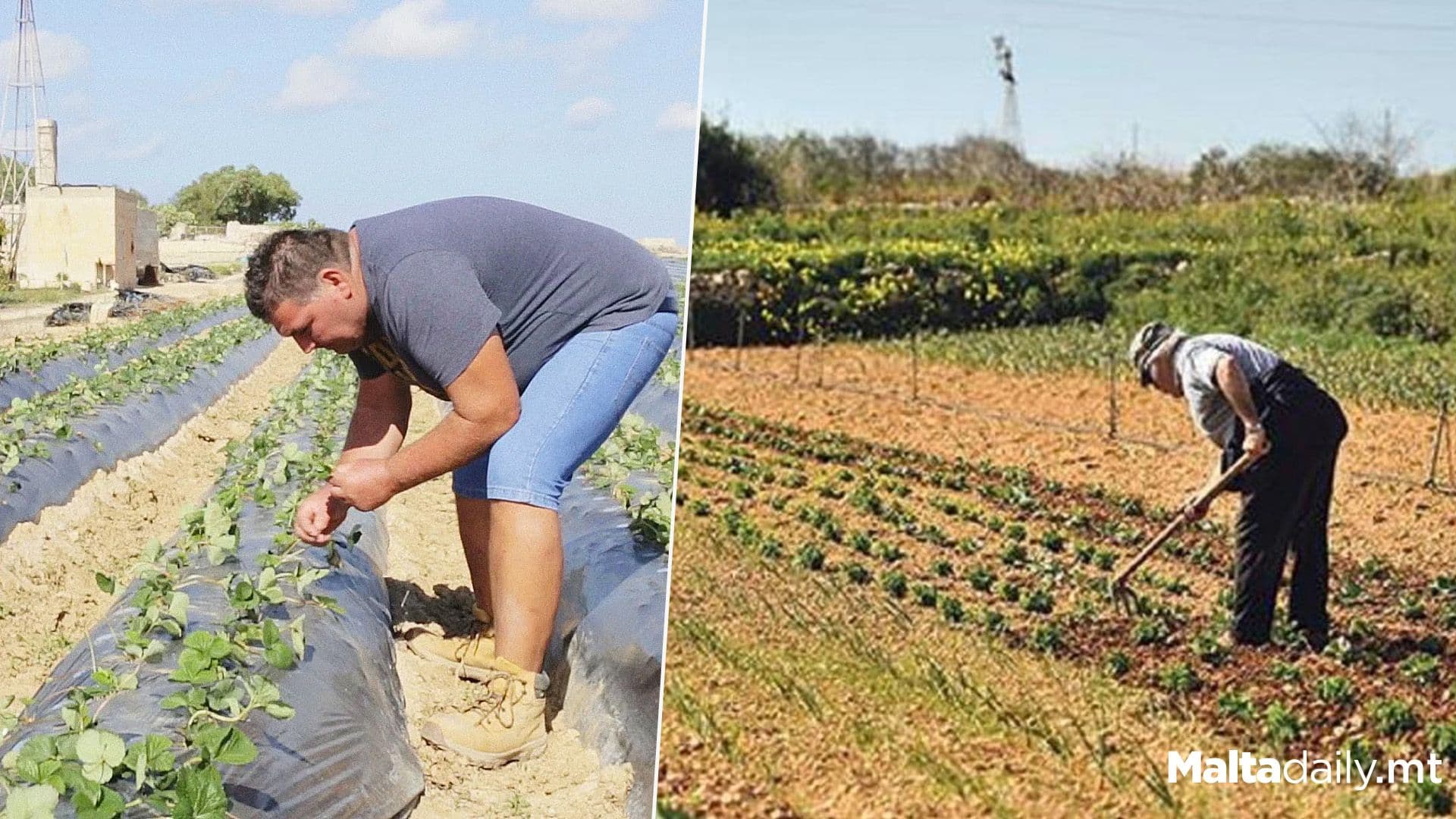 Over 13,000 Farmers Registered in Malta, But Challenges Loom