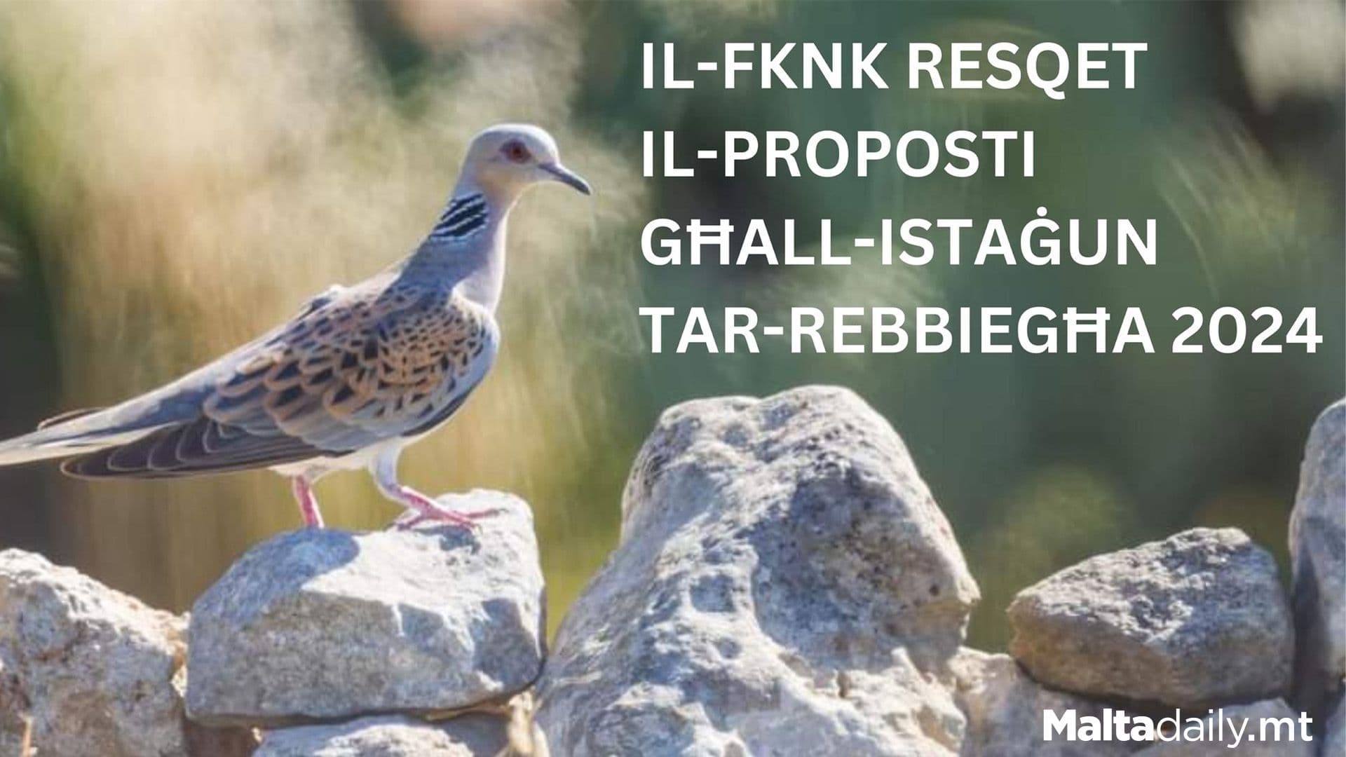 FKNK Submits Proposals For Spring Season Of 2024