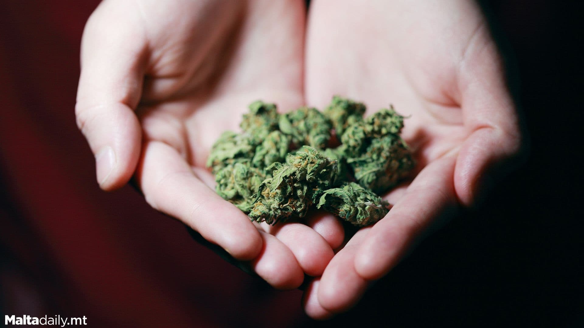 Man Faces Charges After Trafficking 54kg of Cannabis