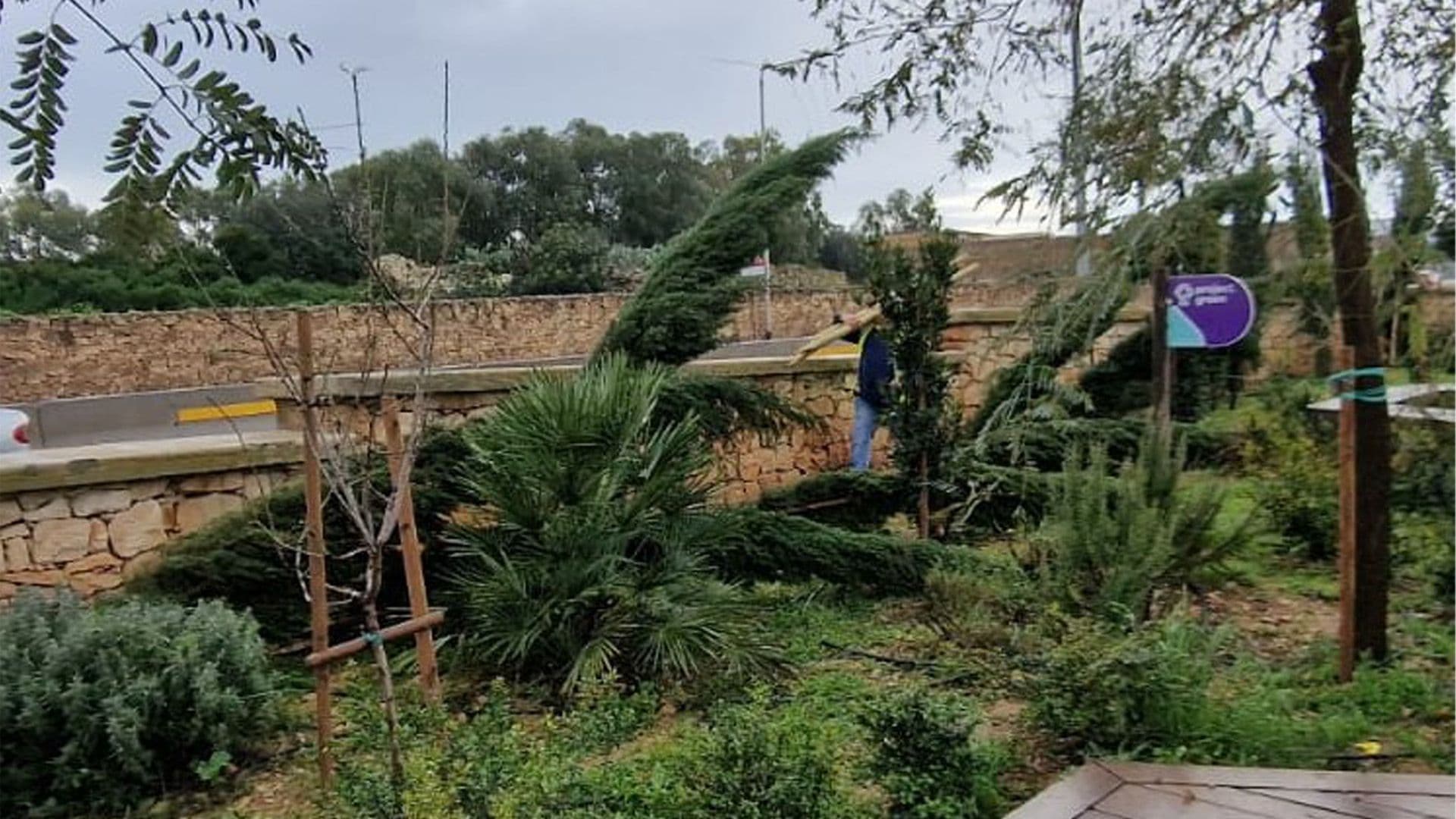 Storm Harry Leaves Maltese Gardens Damaged