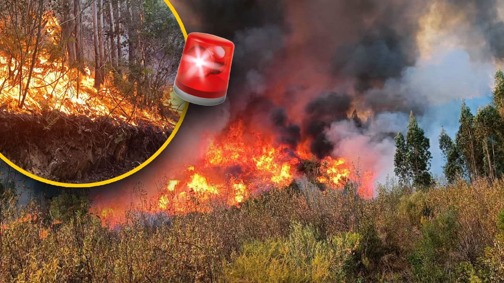 4 Maltese Firefighters Assist With Wildfire In Portugal