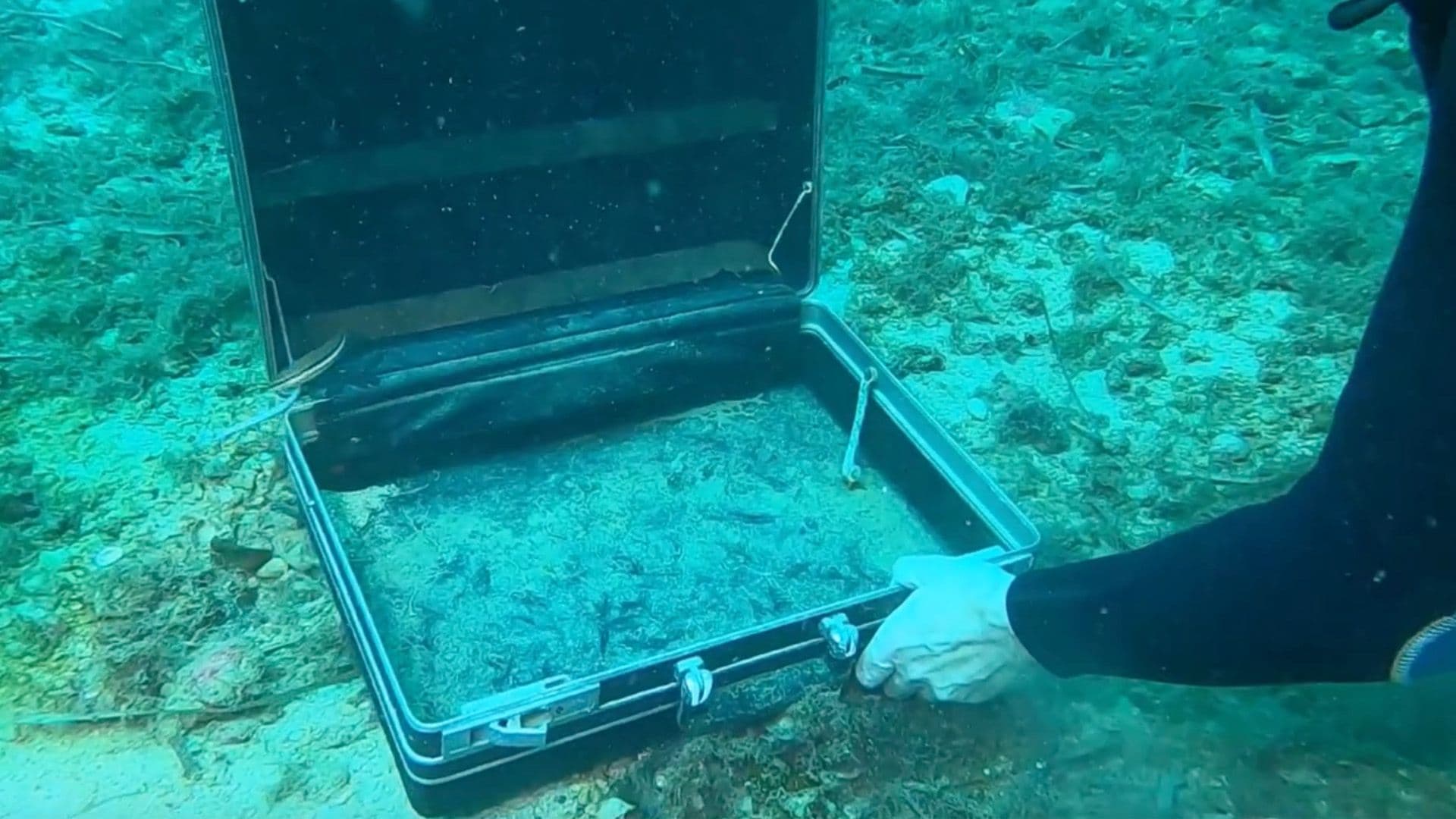 Briefcase Found During Diving Session In Maltese Waters