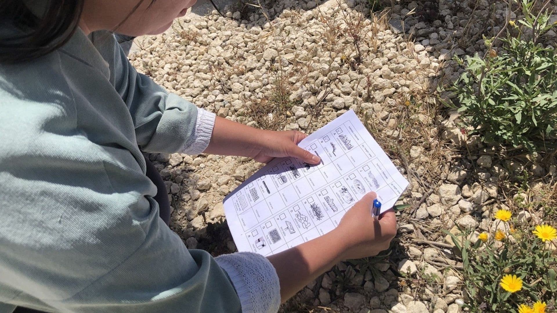 4 Maltese Projects Receive Recognition With European Innovative Teaching Award 2025