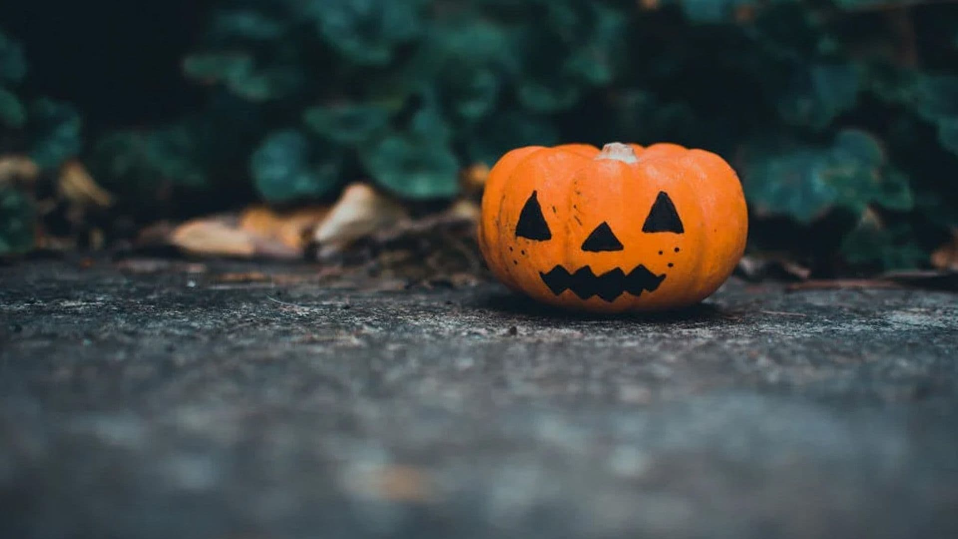 UNCANNY: How Pumpkins Became The Face Of Halloween