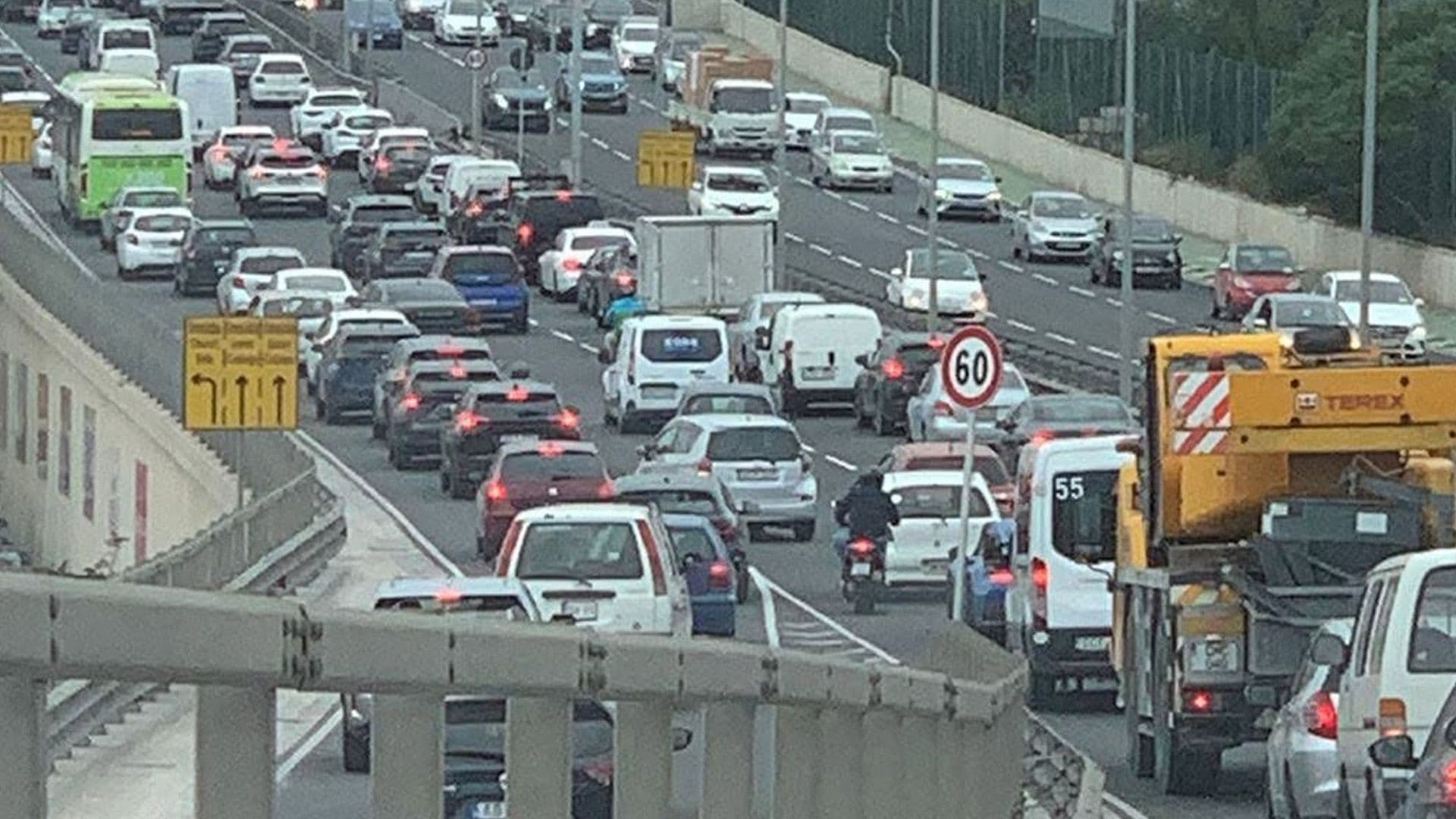 80 New Licenses Each Day Between April & June 2026