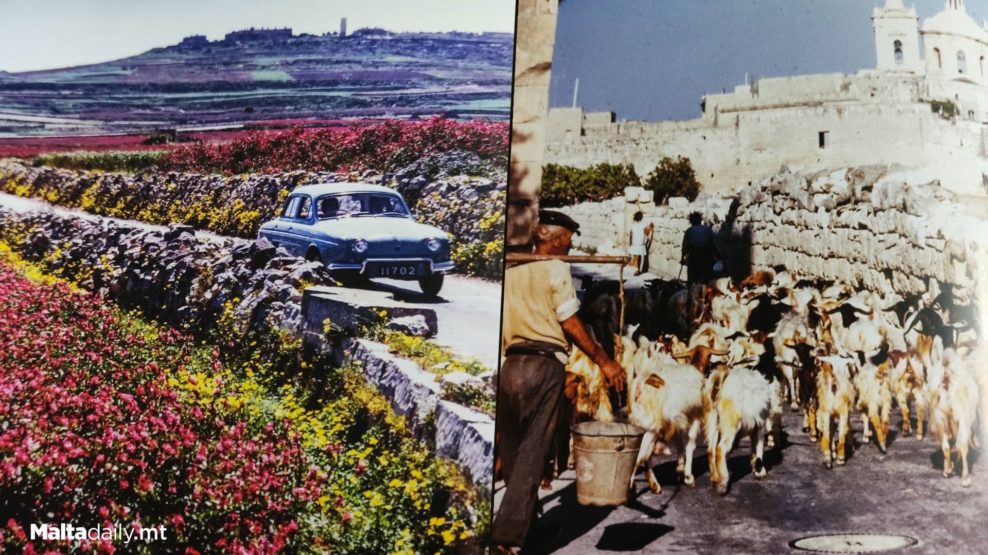 A View Of Malta In The 60s
