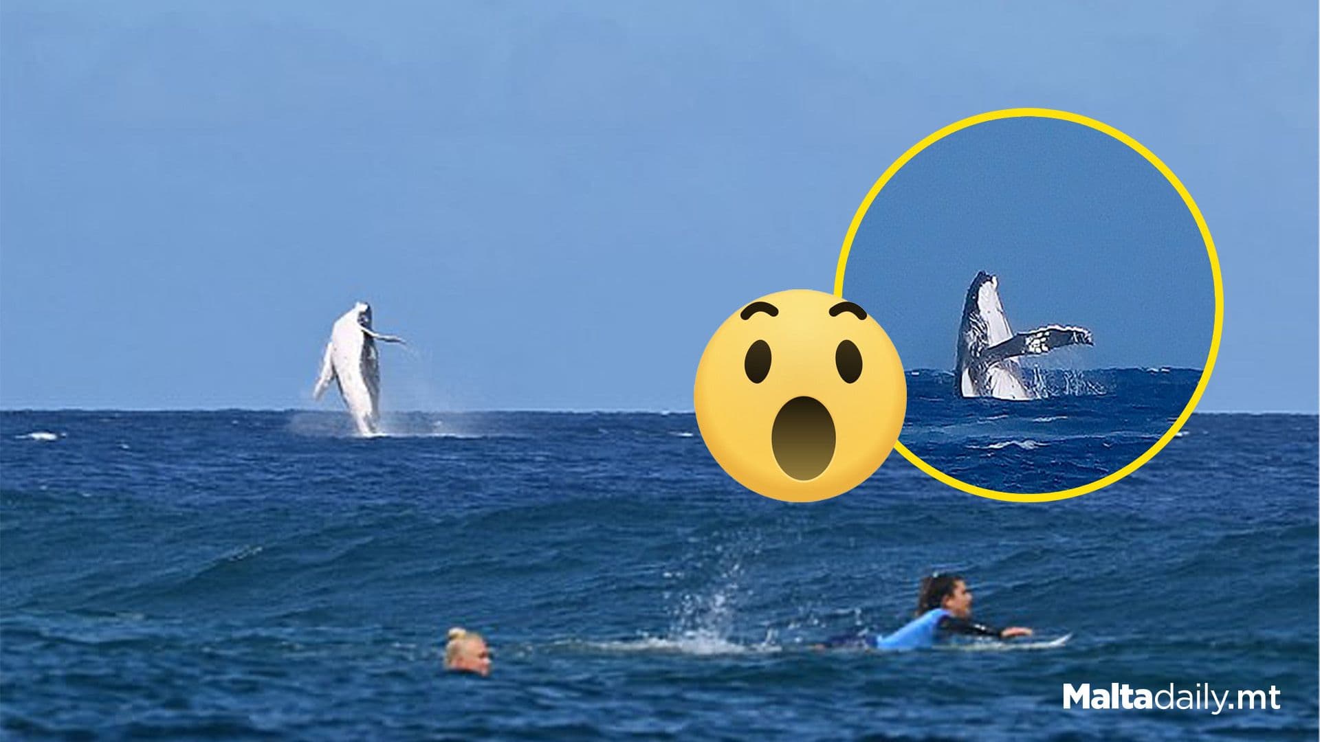 Whale Photobombs 2024 Olympics Surfers