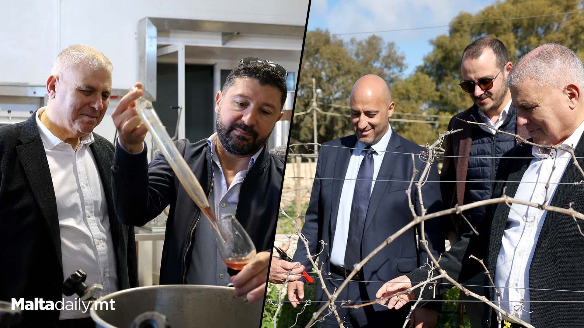 Minister Refalo Announces €125,000 Aid To Support Maltese Grape Farmers