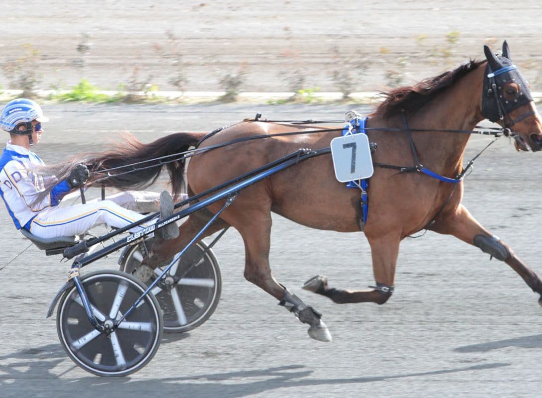 Daniel Debono to represent Malta at European Apprentice Drivers’ Championship