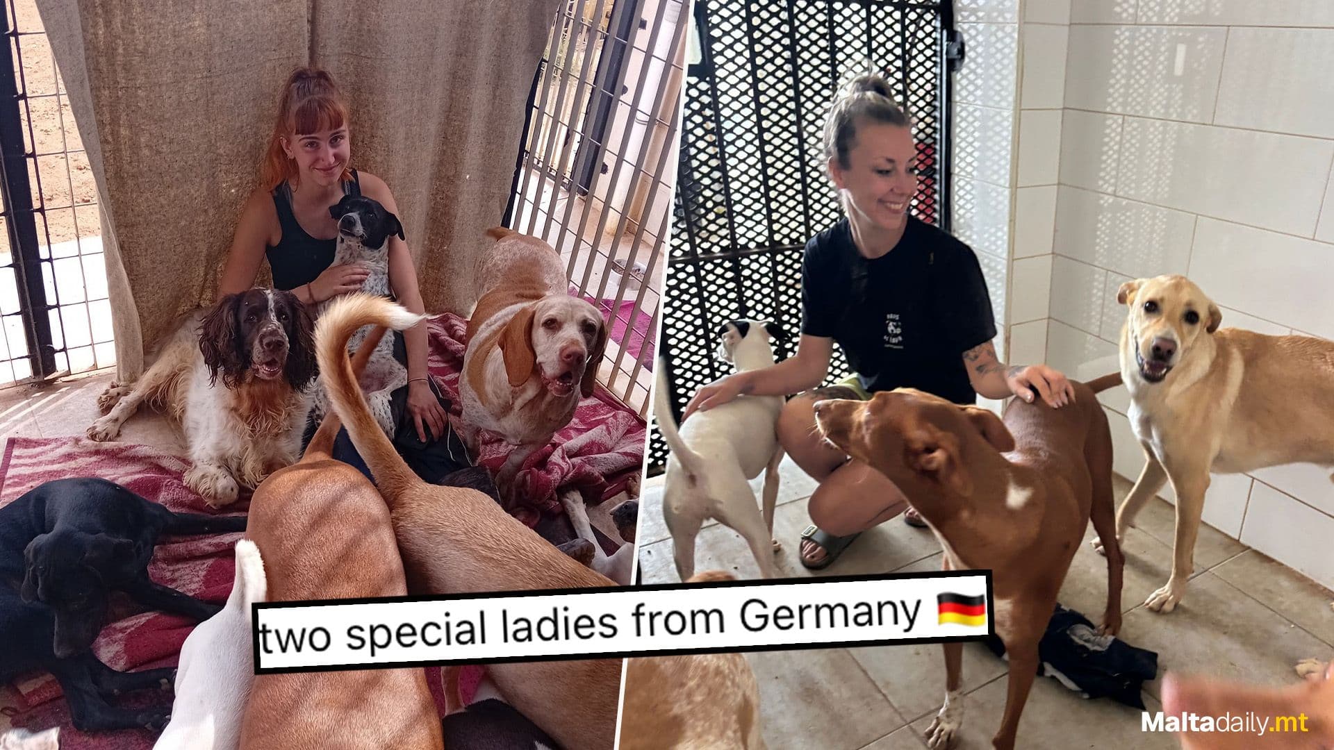 German Tourists Spend Holiday Helping Local Animal Shelter