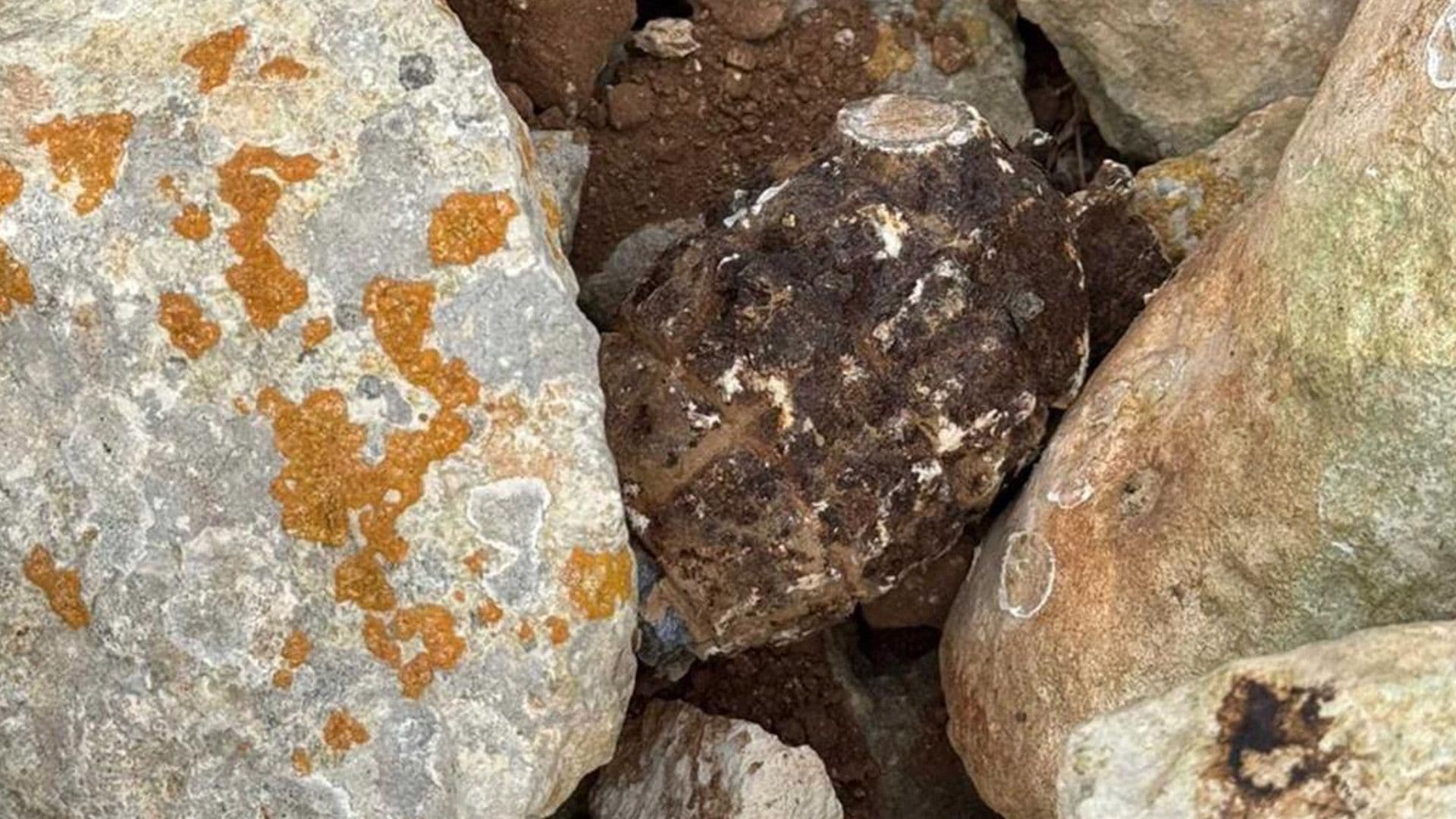 AFM Safely Detonate British Army Wartime Hand Grenade Found During Excavations