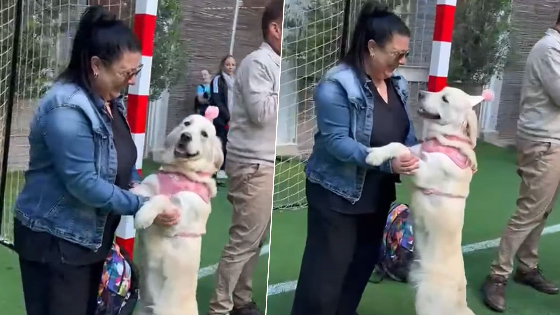 Students & Staff Sing Happy Birthday To School Dog Raya