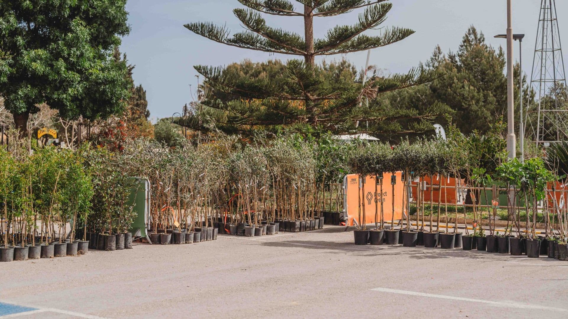 Over 23,000 Tree Vouchers Issued Since Launch Of Tree Planting Initiative