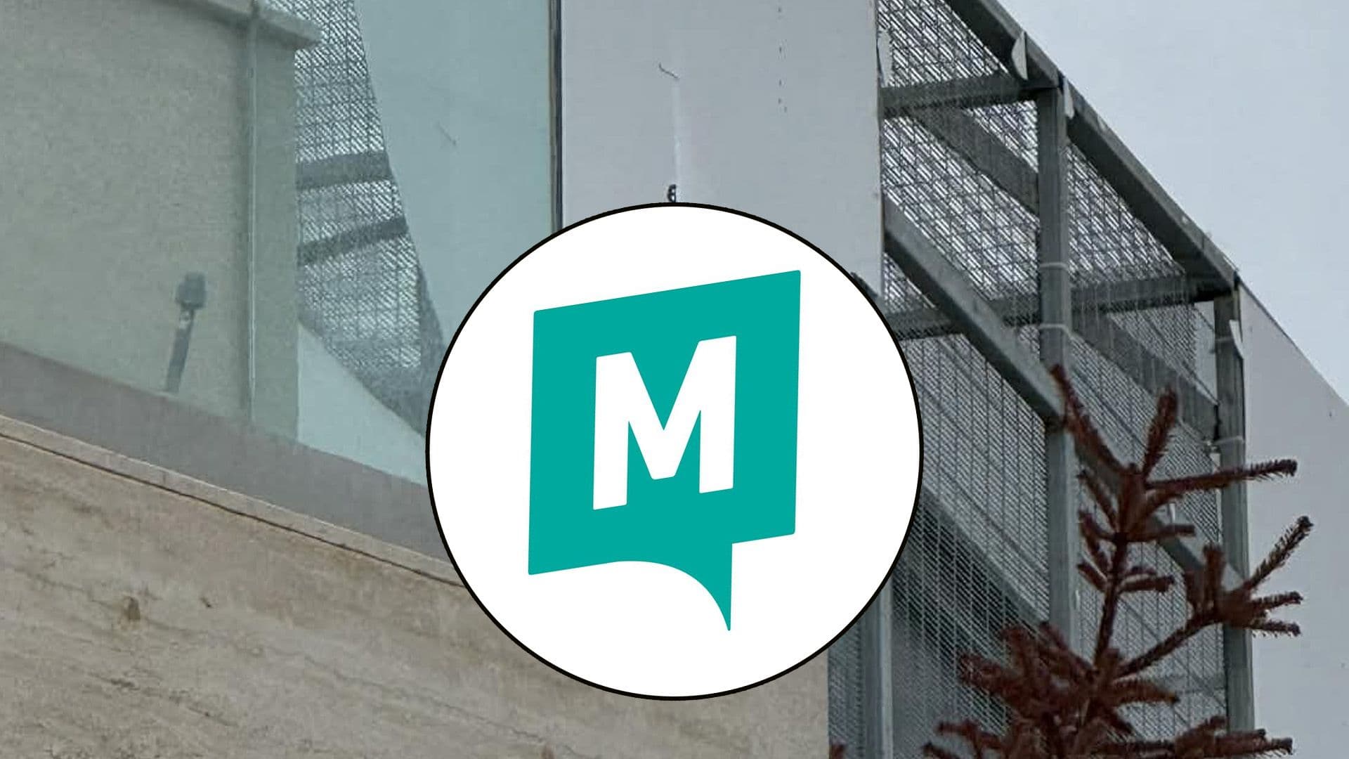 Chimpanzee Cries Heard Across Swieqi Rooftops, Partit Momentum Reports