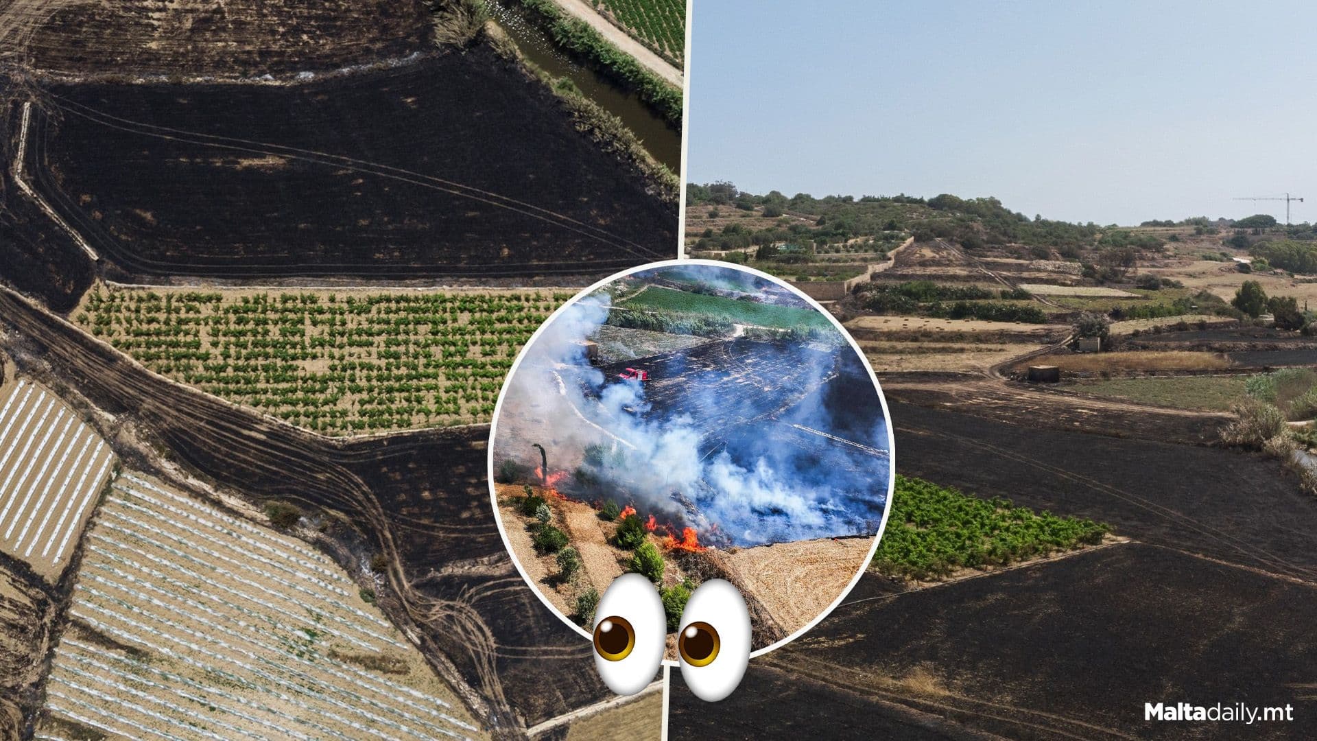 How The Mġarr Field Looks After Last Weekend’s Fire