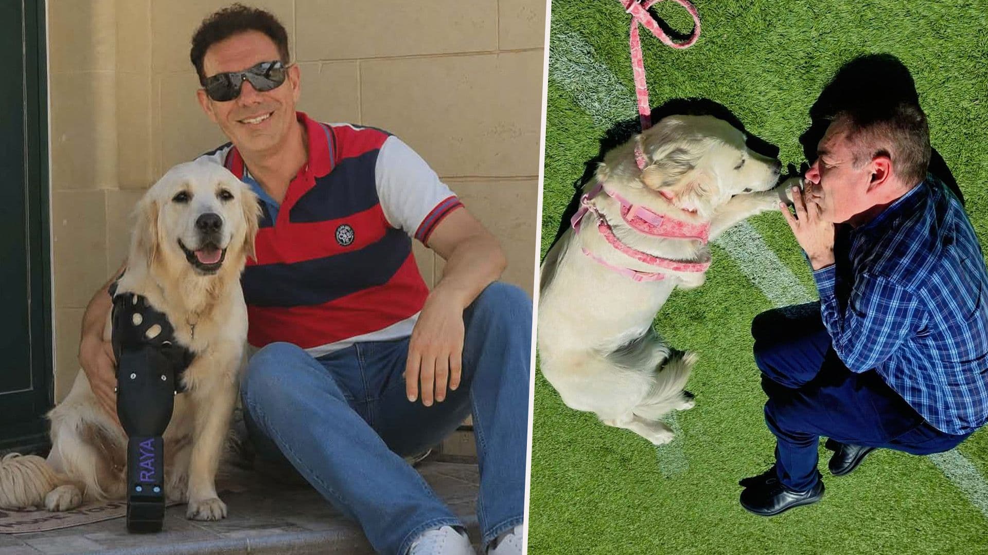 Happy School Dog Raya Gets Prosthetic Leg
