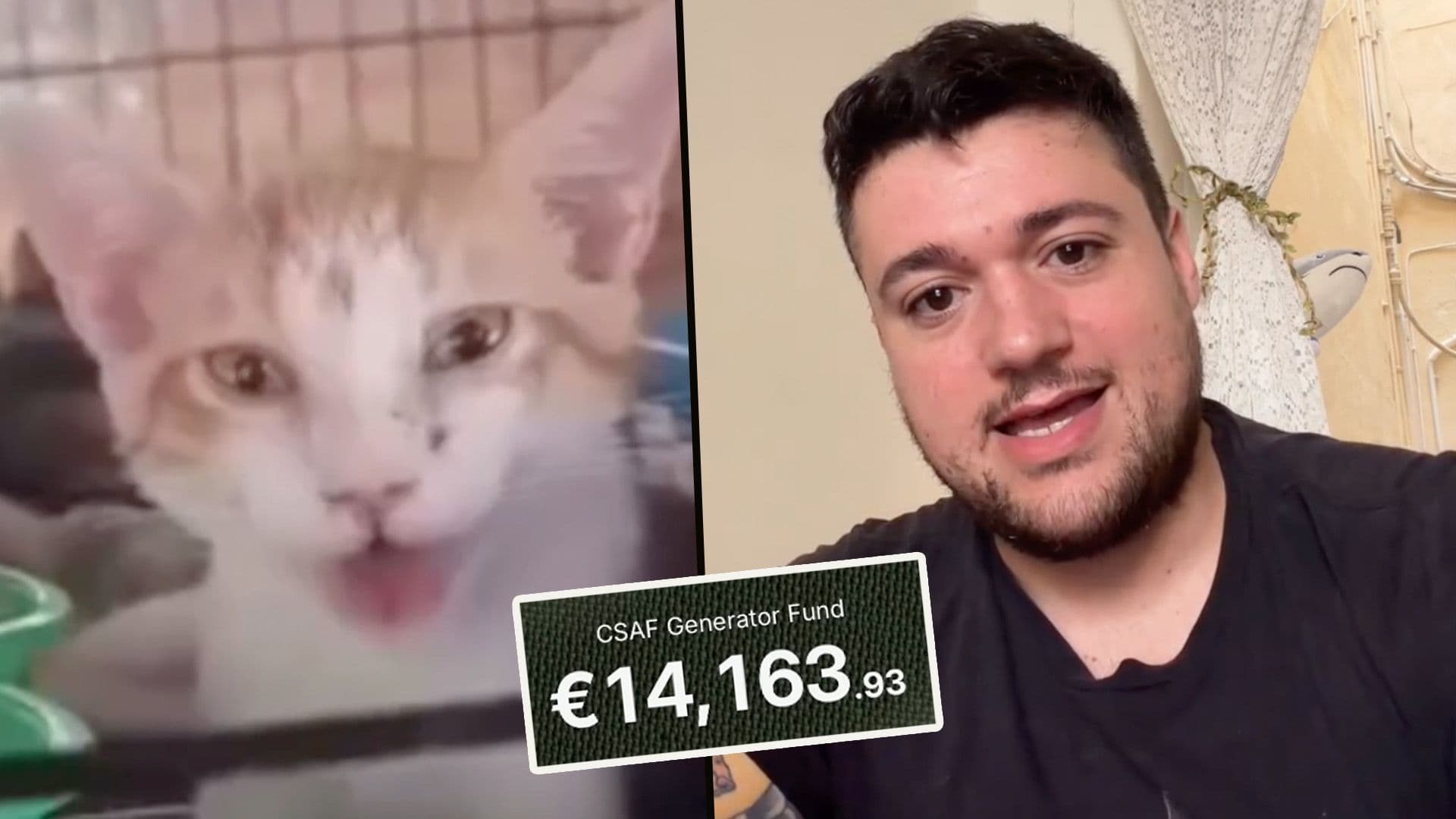 Over €14,000 In Just 4 Hours As James Ryder Raises Money For Cat Shelter