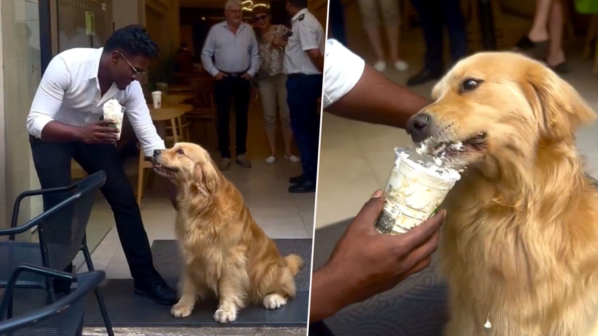 Bruno Gets His Puppuccino Thanks To Lovely Staff