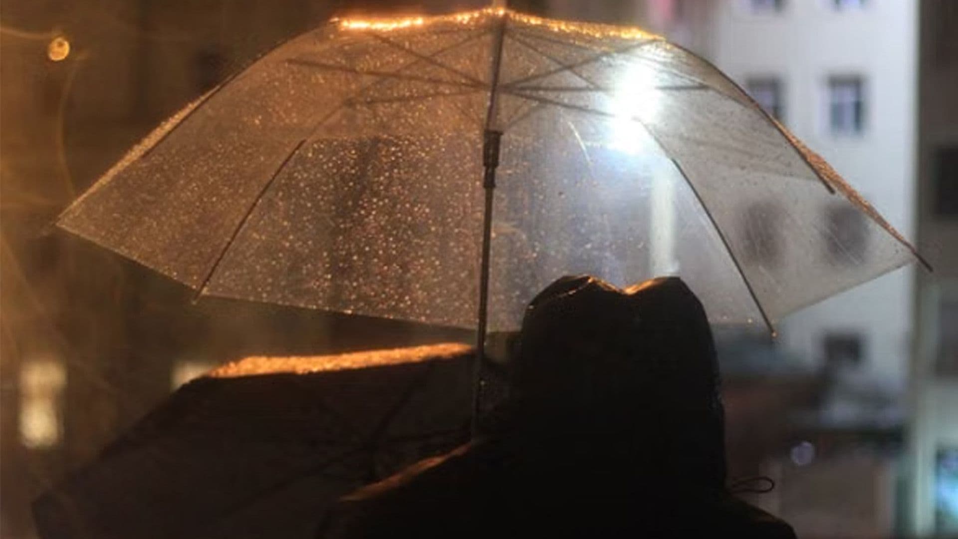 Things Maltese People Do The Second The First Rain Hits
