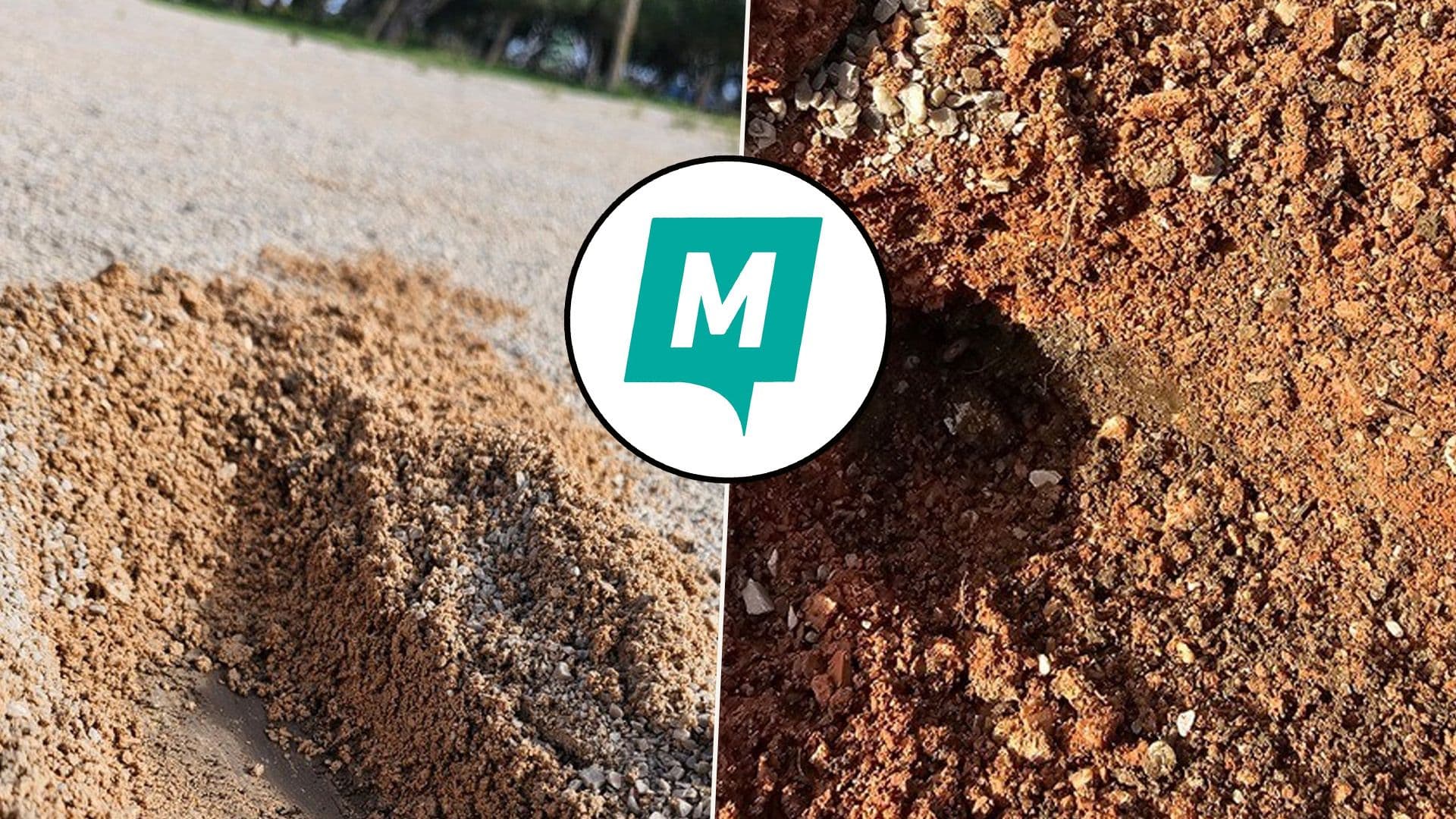 Expert Inspection Shows Ta' Qali Was Deliberately Ruined, Says Partit Momentum