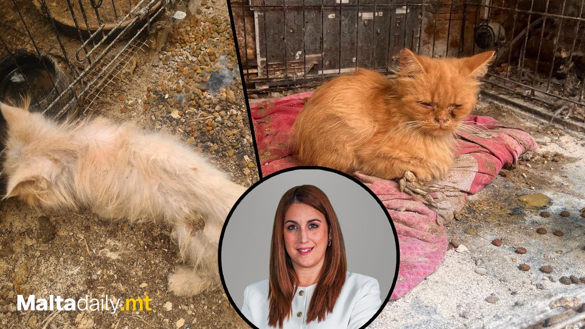 Alicia Bugeja Said Praises Animal Welfare Seizure of 120 Animals