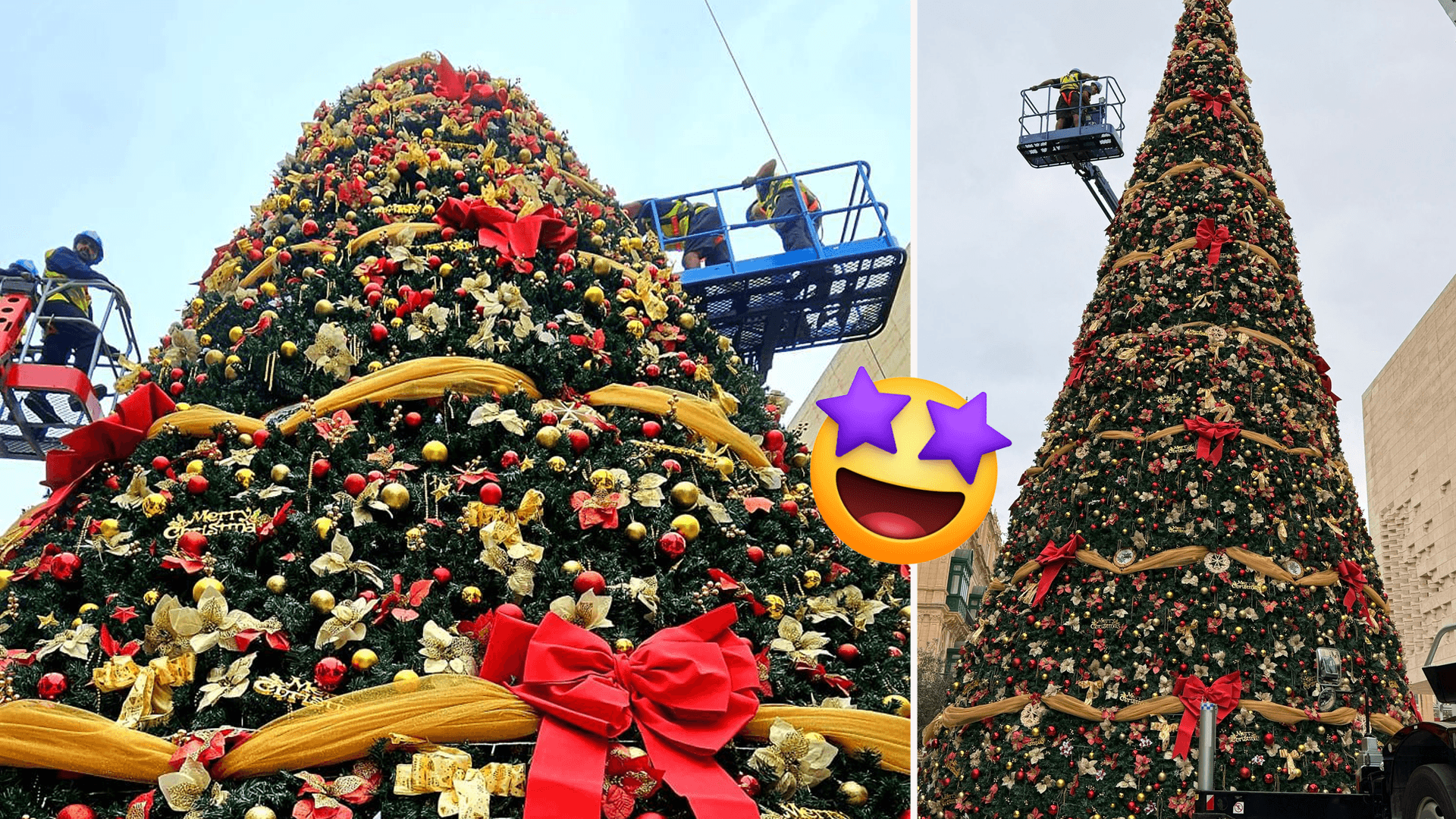 Valletta Visitors Welcomed By This Year's Christmas Tree