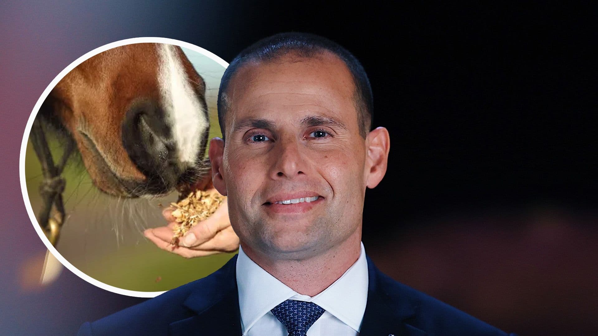 Labour Proposes New Food Label To Show Which Farms Treat Animals Better