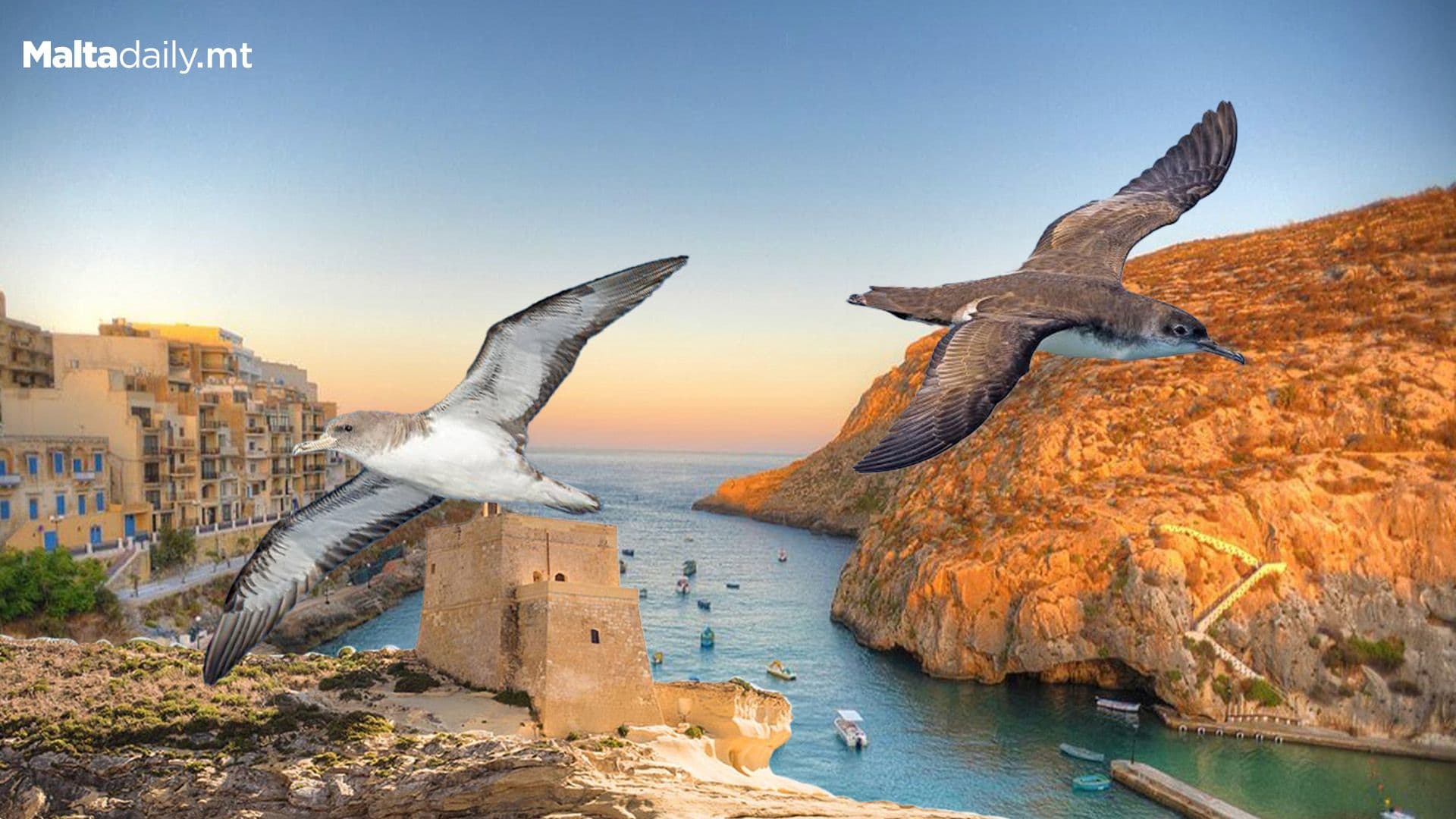 Fun Facts You Might Not Know About Xlendi