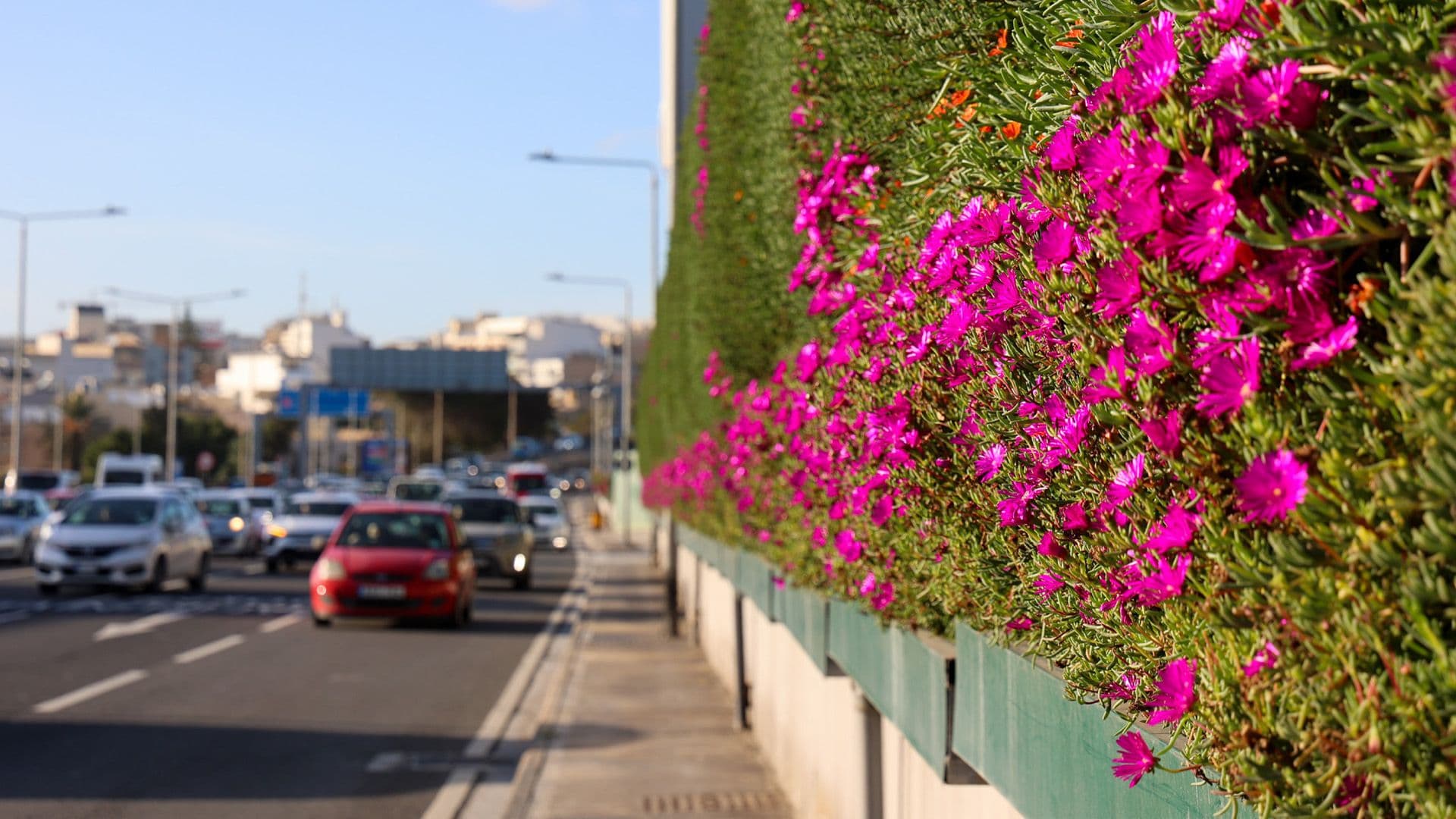 Controversial Marsa Ħamrun Bypass Green Wal Returns To Life