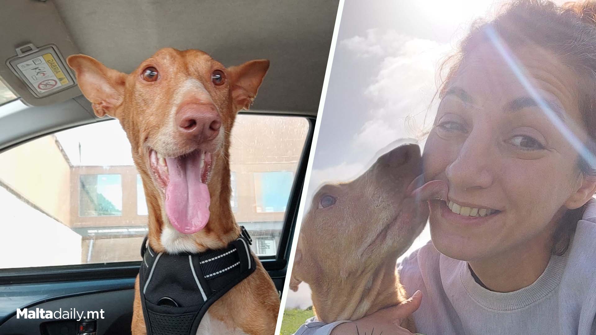 Nenu’ Recovering As Animal Activist Sends Strong Mesaage