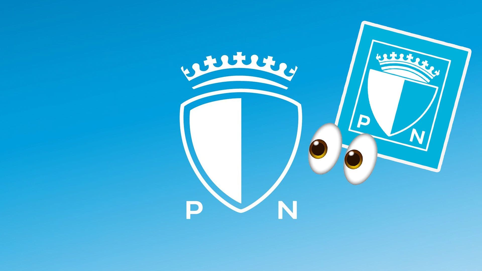 Nationalist Party Rebrand Logo As 2026 Election Kicks Off