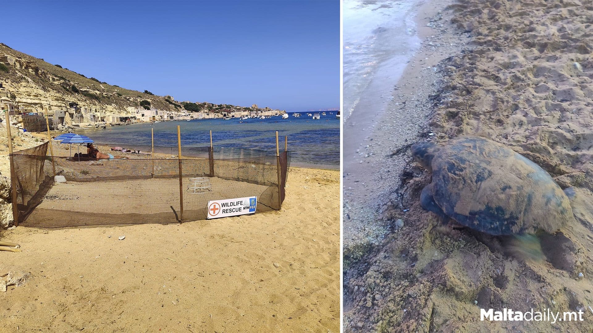 Public Urged To Be Careful At Beaches As Turtles Nesting Season Begins!