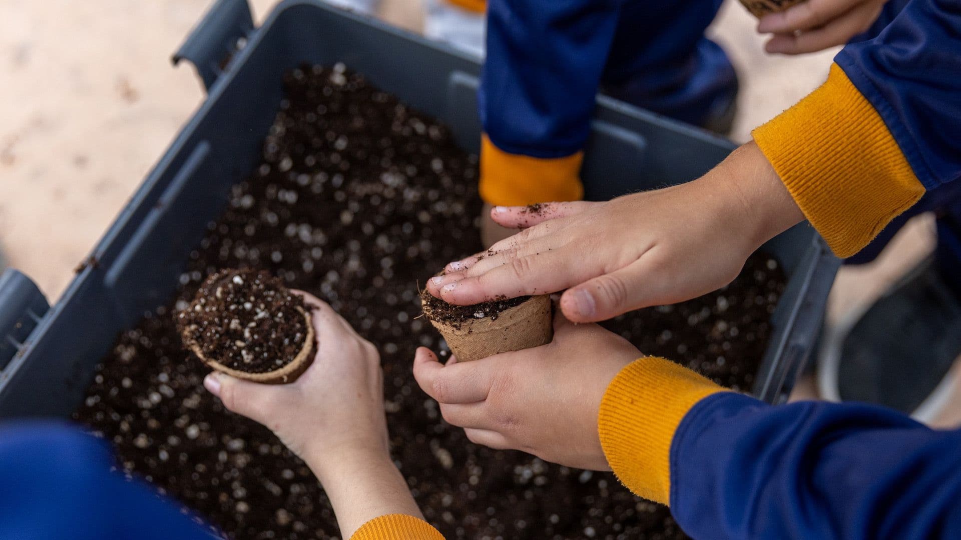 Local Parks Spotlight: Ġnien Il-Palma, Ħ’Attard