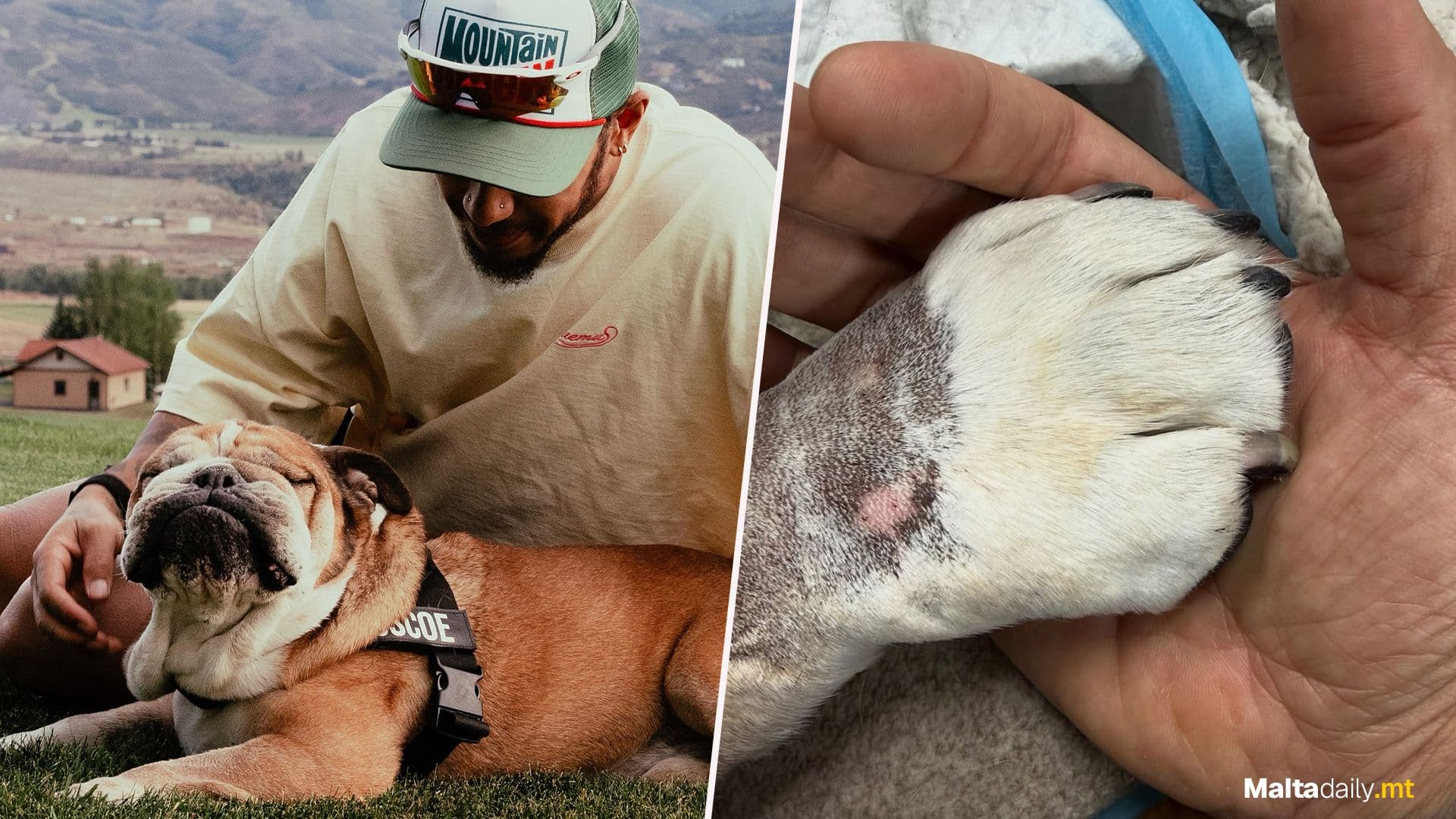 Lewis Hamilton Announces Passing Of Pet Dog Roscoe