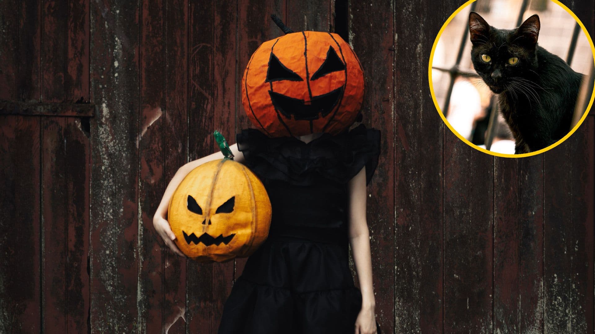 Why Are Orange And Black The Colours Of Halloween?