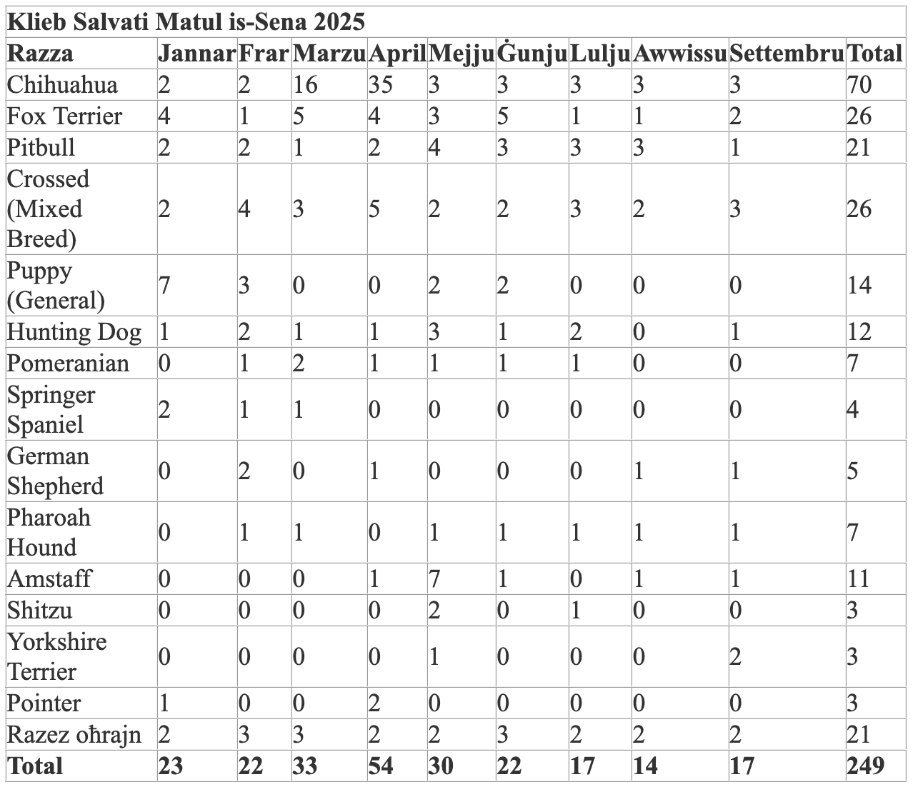 249 Dogs And 770 Cats Saved From Maltese Streets In 2025