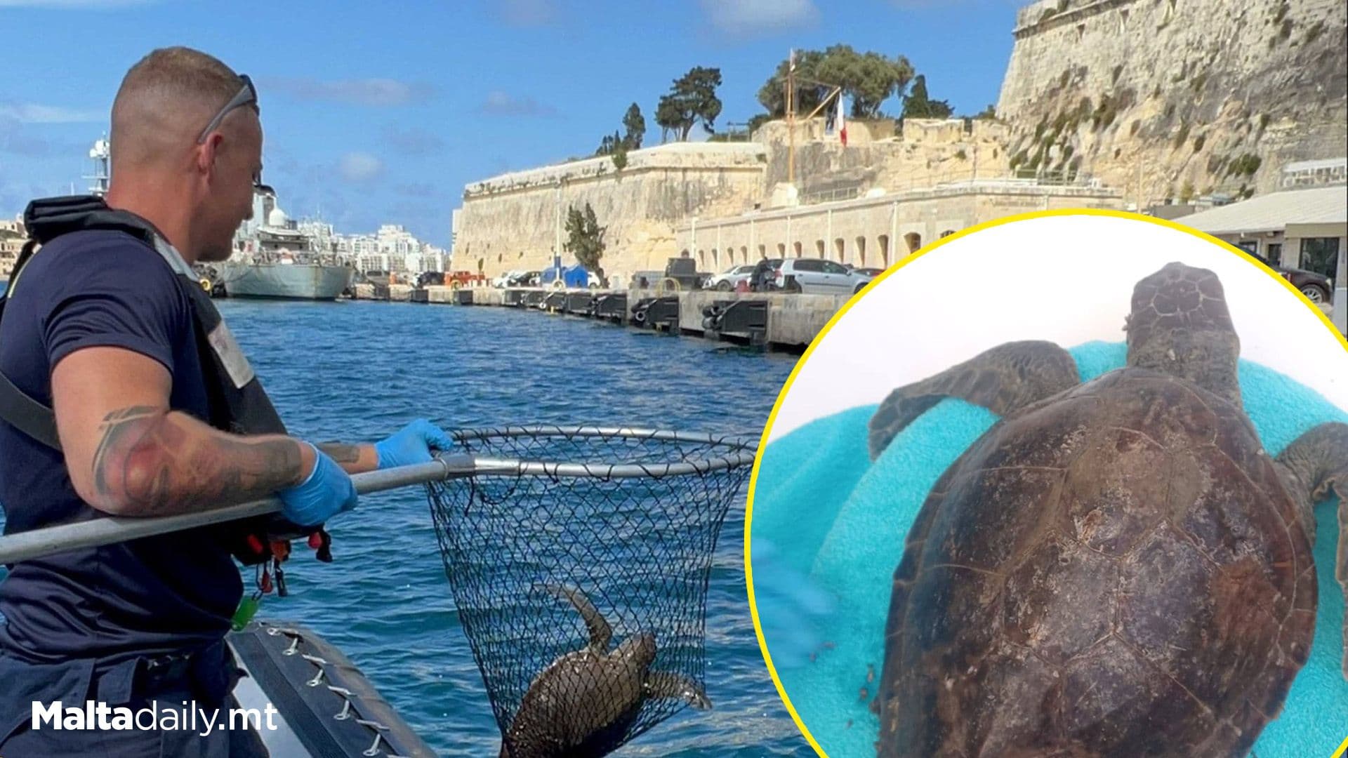 Two Turtles In Distress Were Rescued From The Maltese Waters On Sunday