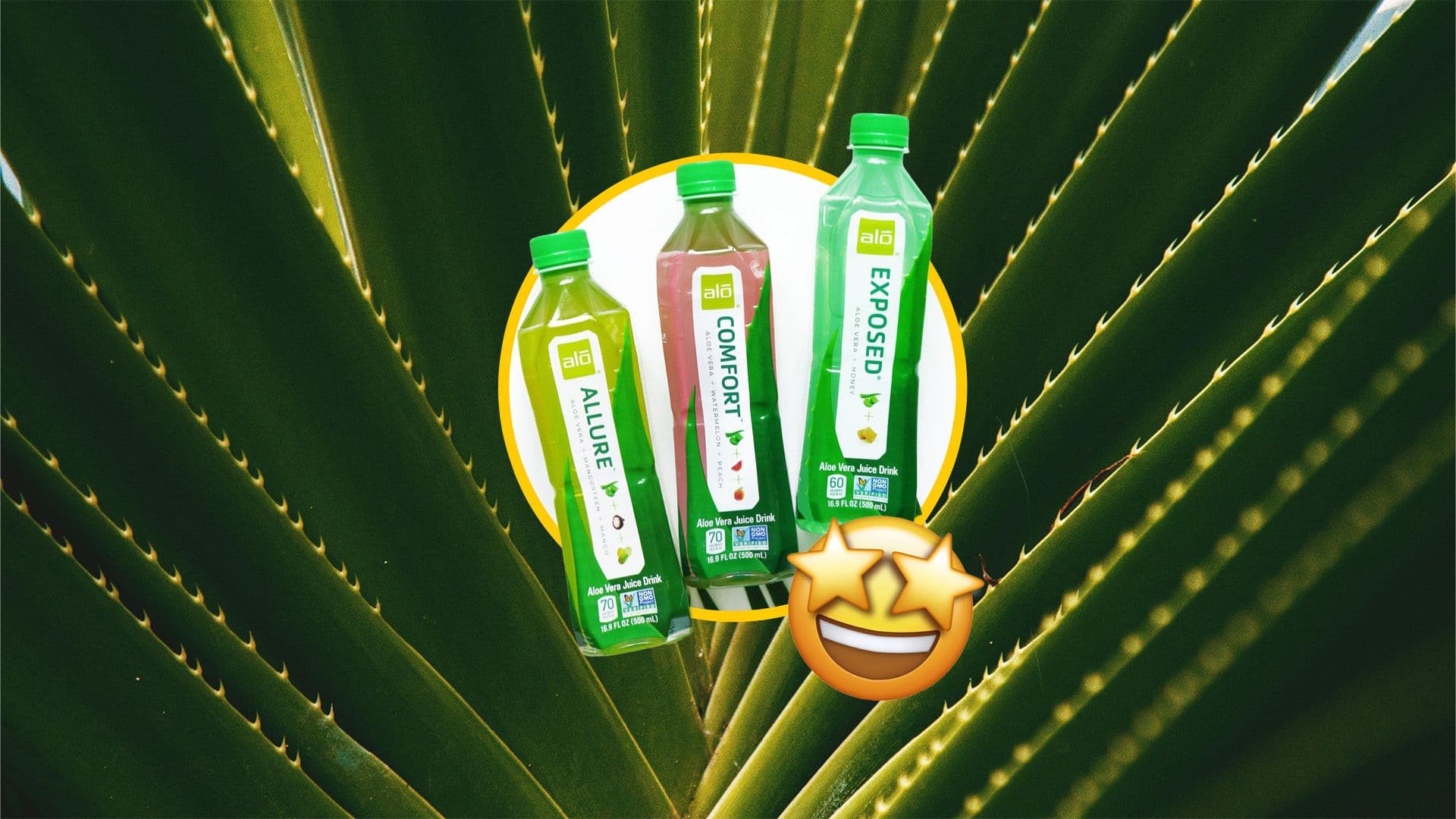 The Benefits of Drinking Aloe Vera & Why It Matters