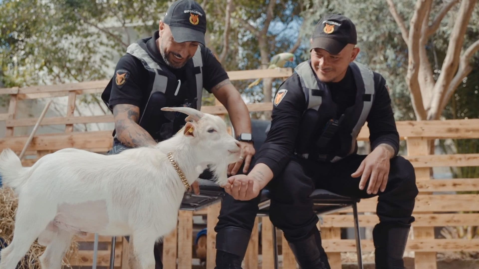 Transport Malta Officers Escort Man Through Traffic To Save His Dying Pet